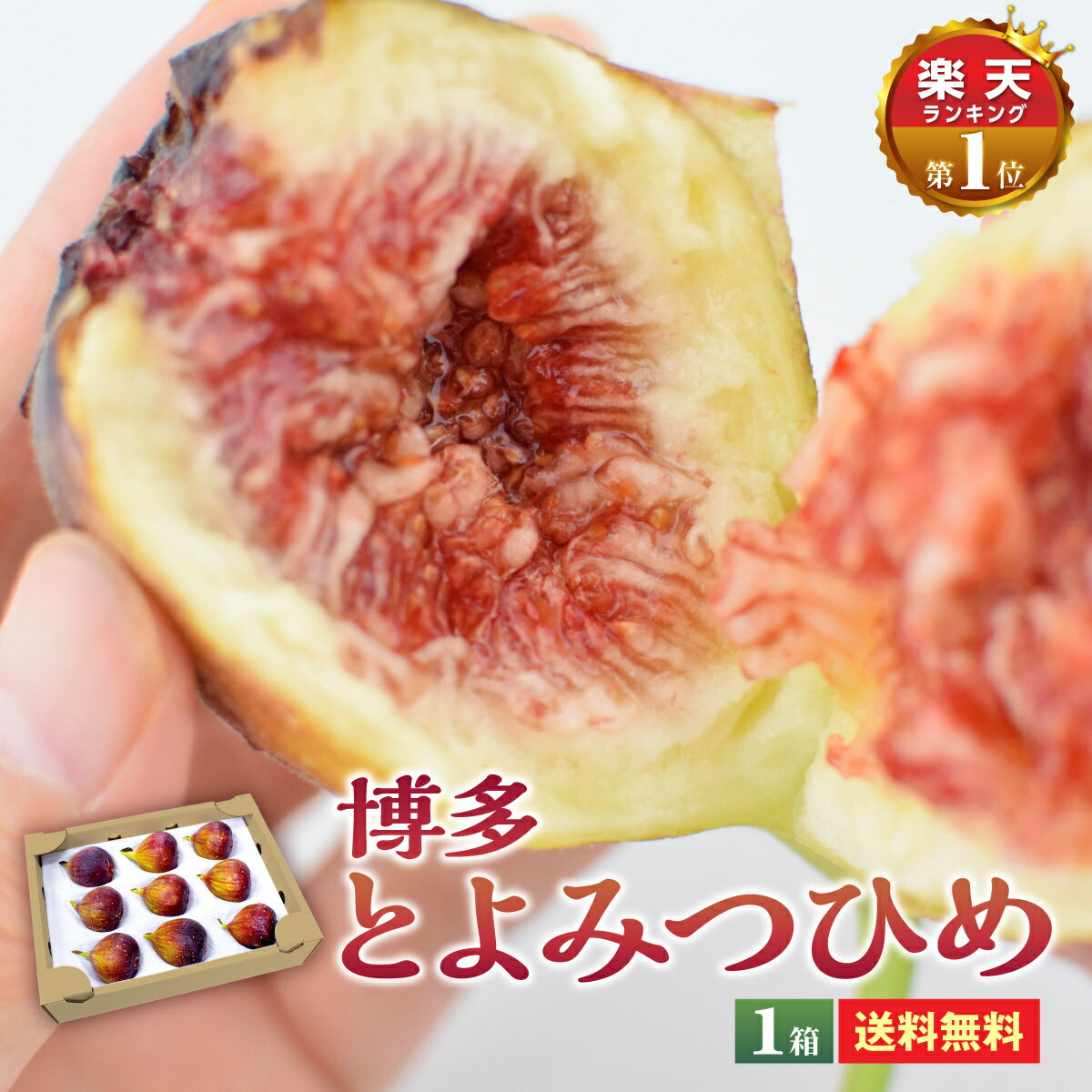 送料無料 【 楽天ランキング1位 】