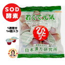 丹羽SOD ニワナ Niwana レギュラー 120包 2箱セット(240包) 丹羽SOD様食品正規品の専門店