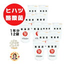 【美温活・1年分(12個)】 フラクトオリゴ糖 30粒/日 ホタテ貝殻 ヒハツ ショウガ 高麗人参 酪酸菌 あったか 温活 斎藤一人 銀座まるかん 公式ショップ 正規店 正規品 専門店 日本漢方研究所 月間優良ショップ