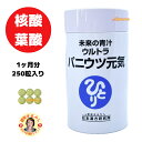 【パニウツ元気】 核酸 1ヶ月分 95g(約250粒) 6粒/日 未来の青汁 ウルトラ 青汁 亜鉛 カキガラ カルシウム DNA クマ笹 クロレラ RNA 自然塩 コラーゲンペプチド ウコン セレン ナイアシン 葉酸 マグネシウム ビタミン 睡眠 不眠 物忘れ ストレス 集中力 脳 エイジングケア