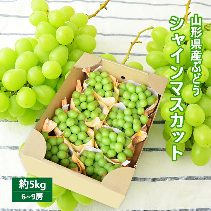 山形県産 ぶどう シャインマスカット 約5kg ( 6〜9房 ) ぶどう 大容量ぶどう 大容量 種無し 人気 皮ごと食べられる 大粒ぶどう 5kg ボリューム お裾分け