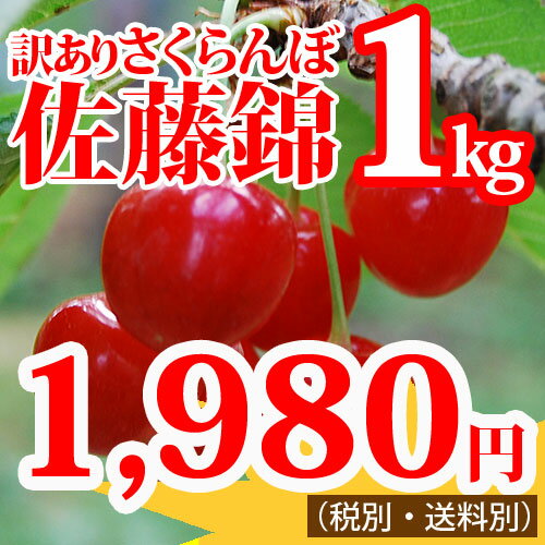 《訳あり》さくらんぼ佐藤錦1kg