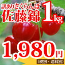 《訳あり》さくらんぼ佐藤錦1kg