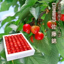 《加温栽培》さくらんぼ 佐藤錦 約300g 並び詰め ( Lサイズ以上 ) 山形県産