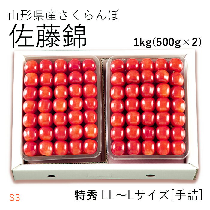 【贈答】さくらんぼ 佐藤錦 約1kg ( 特秀 / LL〜 L サイズ / 手詰 / 500g×2 ) 山形...