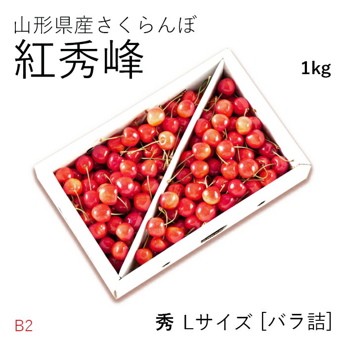 ＼ 11日1時まで 全品ポイント2倍／ 【贈答】さくらんぼ紅秀峰 約1kg ( 秀 / Lサイ...