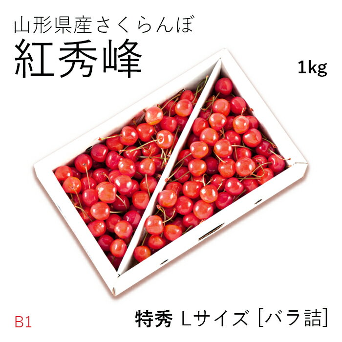 【贈答】さくらんぼ紅秀峰 約1kg ( 特秀 / Lサイズ / バラ詰め ) 山形県産 [B1]