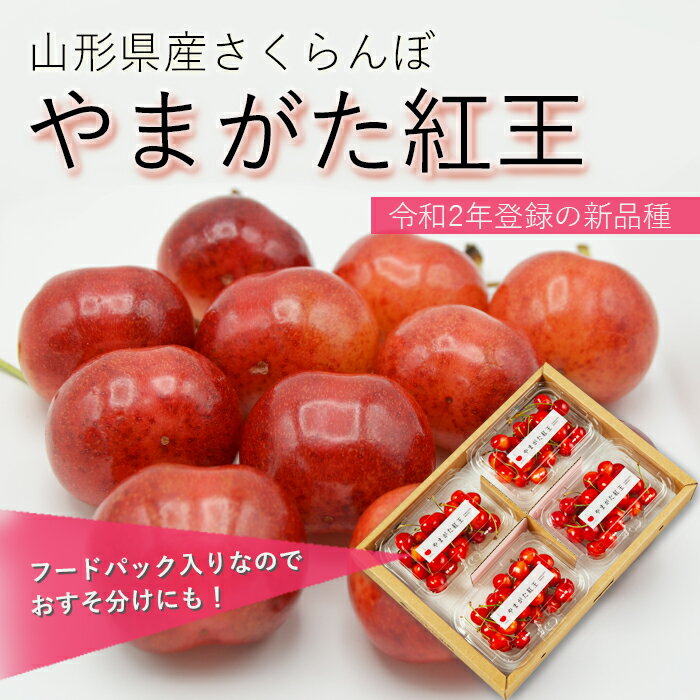 さくらんぼ やまがた紅王 ( べにおう ) 約720g(180g×4パック)[ 秀 / 2Lサイズ / パ...