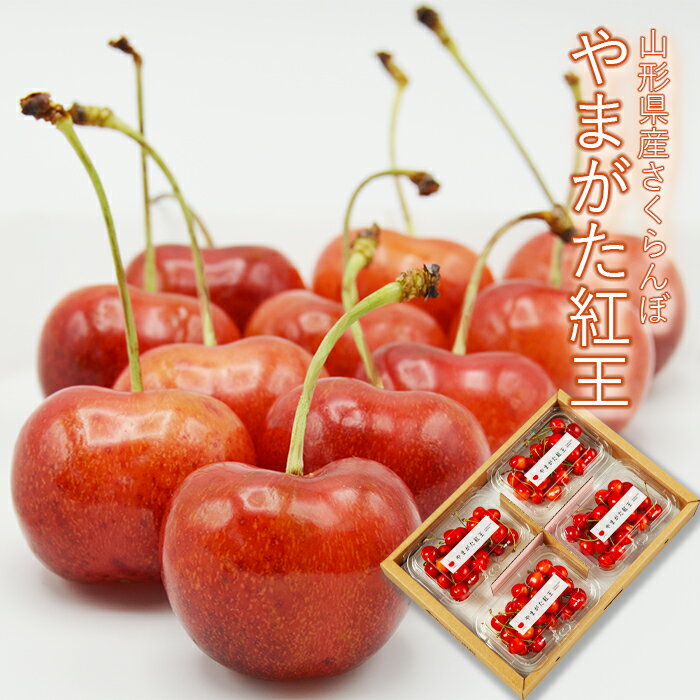 ＼ 期間限定 全品ポイント2倍／ さくらんぼ やまがた紅王 ( べにおう ) 約720g(180...