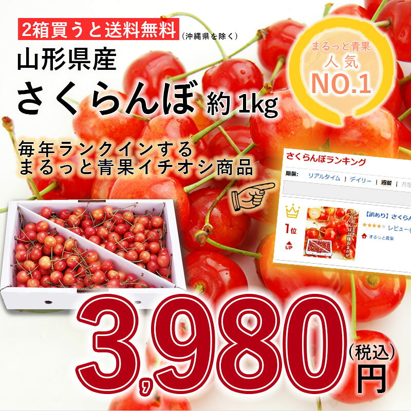��������ۤ������� ��2Ȣ�㤦������̵���ۻ������� �ʼ浪�ޤ���