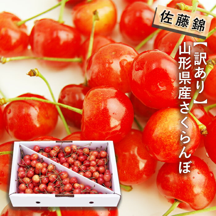 【訳あり】さくらんぼ 佐藤錦 約1kg【2箱買うと送料無料】