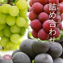 ぶどう詰め合わせ 約1kg( 3房 ) 山形県産
