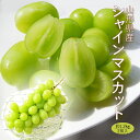 ぶどう シャインマスカット 約1.2kg ( 2房 ) 山形県産
