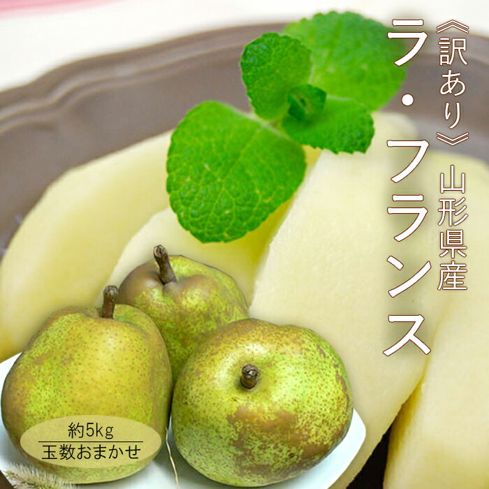 【訳あり】 ラフランス 約5kg ( 玉数おまかせ ) 山形県産