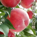 中野さんの 白桃 約2.5kg ( 7~11玉 )