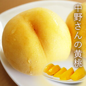 中野さんの 黄桃 約2.5kg ( 5〜11玉 )