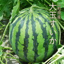 山形県産 大玉 すいか 1玉 ( 約5~7kg ) MA~2Lサイズ