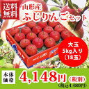 山形県産ふじりんご大玉5kg入[18個][ap02]　丸勘山形青果出荷組合