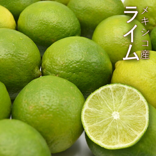 ライム 約5kg ( 40〜48個 ) メキシコ産 ライム 約5kg ( 40〜48個 ) メキシコ産