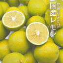 《産地おまかせ》 国産レモン 約5kg ( 22～55玉 )