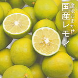 《産地おまかせ》国産レモン約5kg(3L～M)