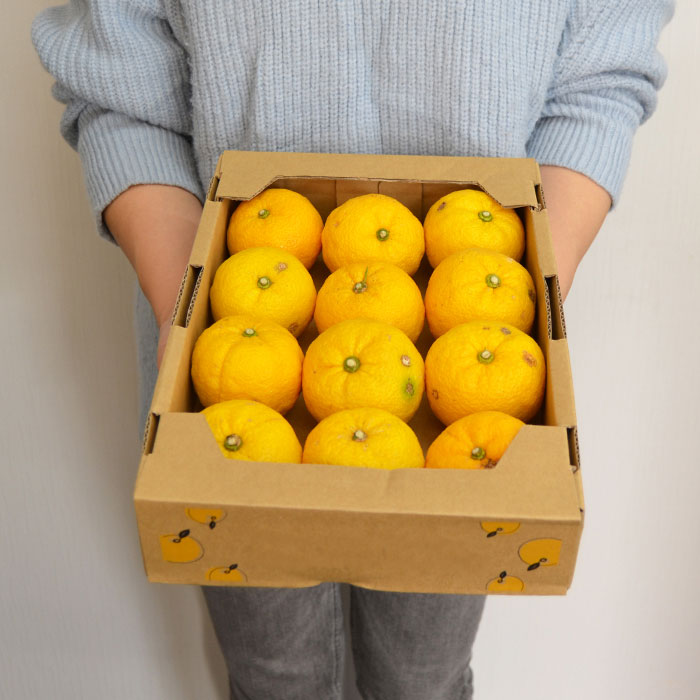 ���������ͮ��(�椺)9��13�̹��θ���