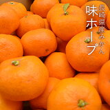 長崎県産みかん味ホープ約5kg