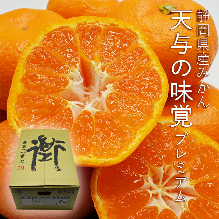 静岡県産 みかん 天与の味覚 プレミアム 約4kg ( サイズおまかせ 2S〜2L )のサムネイル