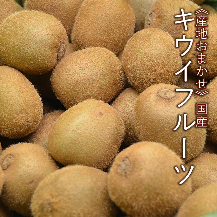 《産地おまかせ》 国産 キウイフルーツ グリーン 約10kg （ 80～100個入 ）