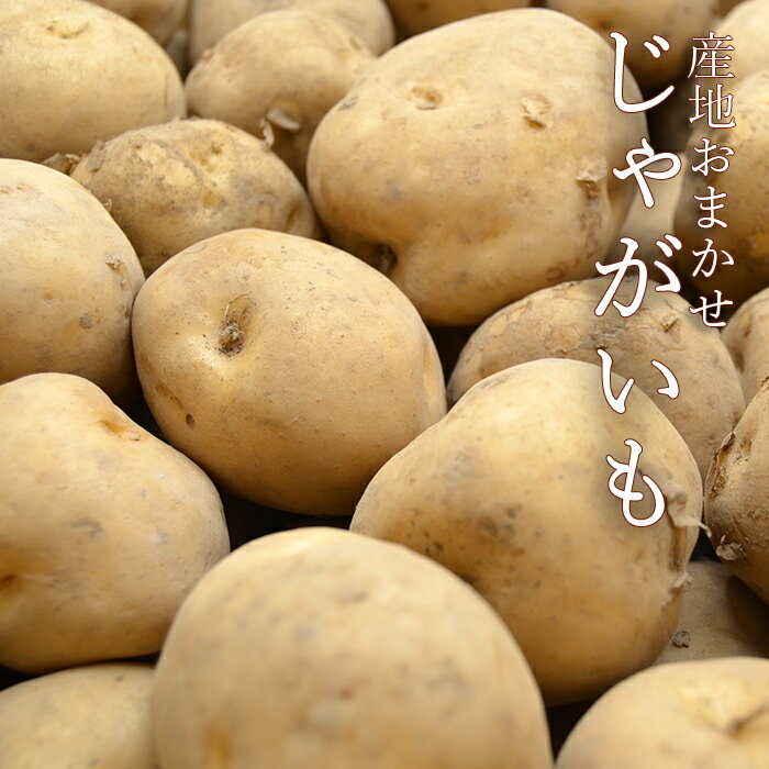 《産地おまかせ》国産 じゃがいも 約10kg （ Lサイズ / およそ60〜80個入 ）