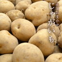 名称 じゃがいも 内容量 約10kg（Lサイズ/目安：およそ60～80個） 個数はおまかせとなります。 産地 北海道、茨城、千葉、長崎、鹿児島　他　（※産地は当店おまかせです。） 保存方法 高温にならない風通しのいい場所に保存し、お早目にお召し上がりください。 お届け時期 【通年商品】 お届け時期：ご注文・ご入金から10日前後でお届け予定 ※天候の影響や生育状況、商品の入荷状況によって、お届け時期が上記の通りでない場合もございます。 商品の準備ができ次第、ご注文順に発送しますので予めご了承ください。 お届け方法 ※送料無料の商品についても、沖縄県および離島へのお届けの場合2,200円を頂戴します。 ご注意 ●出荷時期における品種と産地はおおよその目安です。天候や生育状況によって、上記の通りでない場合もございます。詳しくは当店までお問い合わせください。 ●納品書、請求書など金額のわかるものは同封しておりません。詳細は注文確認メールをご確認ください。 ●保証期間は到着日限りとさせていただきます。 ●クレジットカード決済は、システムの都合上発送前に決済となる場合がございます。 ●季節商品のため、配送日指定は承っておりません。 ●本品以外の商品との同梱はできません。 ●箱の形状・デザイン・外装箱等は画像と異なる場合がございます。 ●楽天の規約により、インターネット以外のご注文はお受けできません。《産地おまかせ》まるっと青果の担当者が厳選した国産じゃがいも 常備したい野菜、じゃがいも。 常温保存ができ、まだ、様々なお料理にお使いいただける優秀な食材です。 まるっと青果では、年間を通して産地を変えながら、担当者が見極めたじゃがいもをお届けします。 じゃがいもの産地はおおよそ以下の品種になる予定です。※出荷時期はおおよその目安です。天候や生育状況によって、産地と品種は下記の通りでない場合もございます。詳しくは当店までお問い合わせください。 8月～2月・・・北海道産『男爵』 　　　　　　　明治期に函館で試作し広まった品種で、芽のくぼみが深いのが特徴です。 　　　　　　　ホクホクとした食感で、コロッケやポテトサラダに特に向いています。 3月～6月・・・長崎、鹿児島産『ニシユタカ』 　　　　　　　昭和45年に長崎県で開発された品種です。 　　　　　　　芽のくぼみが浅いので、皮がむきやすいです。 　　　　　　　煮崩れが少ないのでカレーやシチューなど煮込み料理に特に向いています。 7月～8月・・・茨城、千葉産『とうや』 　　　　　　　平成7年に品種登録された黄爵（とうや）。 　　　　　　　比較的サイズが大きい物が出来やすく、果肉が黄色いのが特徴です。 煮崩れしにくいので、煮物や炒め物などに向いていますし、滑らかな舌触りを生かしてサラダなどにもおすすめです。 Lサイズのじゃがいもが約10kg、常温便でのお届けです。 じゃがいもの形によっても異なりますが、およそ60～80個入っています。 ※個数はおまかせとなります。 女性が持つと、ずしりと重い約10kgです。 市場より直接ご自宅に届くのはうれしいですね！ ※画像はイメージです。箱のデザインは産地により異なります。 年間通してお届けできる、担当者厳選のじゃがいもを是非ご賞味ください！