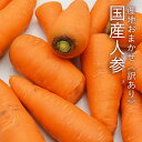 【訳あり】《産地おまかせ》国産人参 約10kg