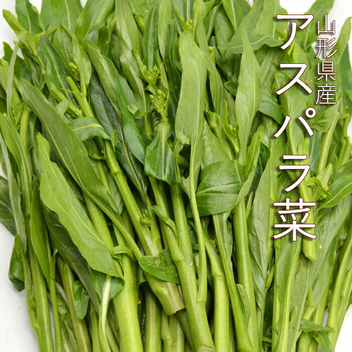 山形県産 アスパラ菜 約5kg （ 約200g×25袋 ）のサムネイル