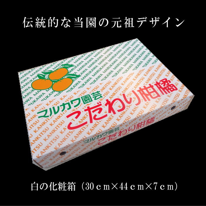 【07/04/20:00～07/11/01:59まで★エントリー購入でポイント10倍】送料無料 めちゃ...
