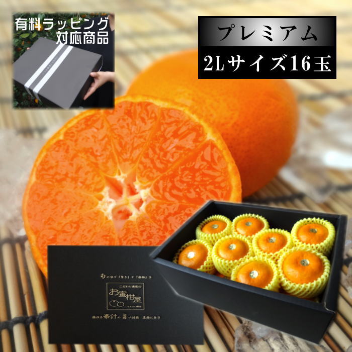 【お中元】極上柑トロのお蜜柑「蜜ツ星プレミアム」 黒の化粧箱(大) 2Lサイズ 初取り果実16玉入