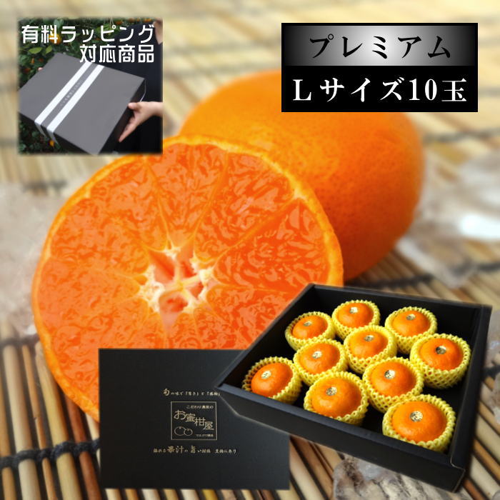 ˾崻ȥΤ̪̪ץߥ׹βȢ̥̼£