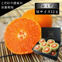 【先行予約/6月下旬〜7月上旬発送分】【お中元】極上柑トロのお蜜柑「蜜ツ星プレミアム」 黒の化粧箱(中) Mサイズ 初取り果実12玉入