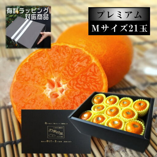 【先行予約/6月下旬~7月上旬発送分】【お中元】極上柑トロのお蜜柑「蜜ツ星プレミアム」 黒の化粧箱(大) Mサイズ 初取り果実21玉入 【先行予約/6月下旬~7月上旬発送分】【お中元】極上柑トロのお蜜柑「蜜ツ星プレミアム」 黒の化粧箱(大) Mサイズ 初取り果実21玉入