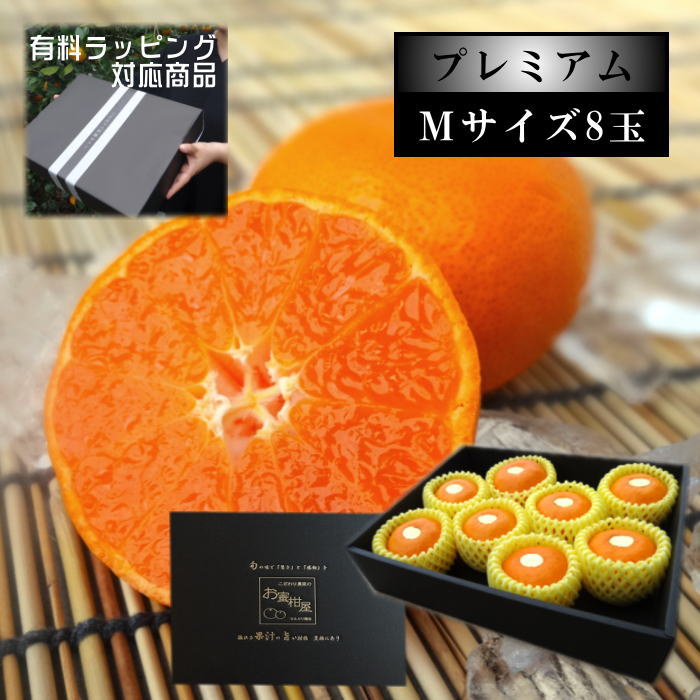 ˾崻ȥΤ̪̪ץߥ׹βȢʾˣ̼ͥ£