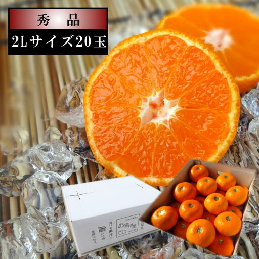 【お中元】【6月下旬~7月中旬頃の発送】濃厚柑トロのお蜜柑「蜜ツ星(みつぼし)」 白のギフト箱 2Lサイズ 秀品 20玉入 【お中元】【6月下旬~7月中旬頃の発送】濃厚柑トロのお蜜柑「蜜ツ星(みつぼし)」 白のギフト箱 2Lサイズ 秀品 20玉入