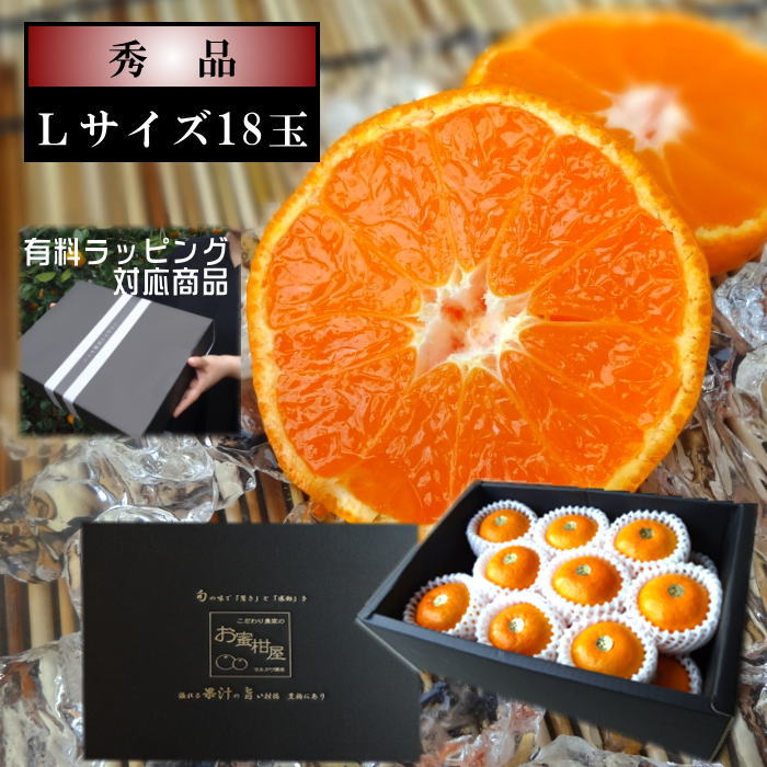 【先行予約/6月下旬~7月上旬発送分】【お中元】濃厚柑トロのお蜜柑「蜜ツ星(みつぼし)」 黒の化粧箱(大) Lサイズ 秀品 18玉入