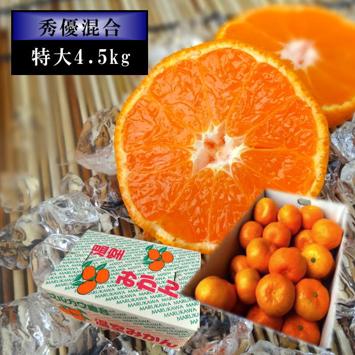 ڿо̪ʤߤĤܤ˥ä̽ͥ󣴡