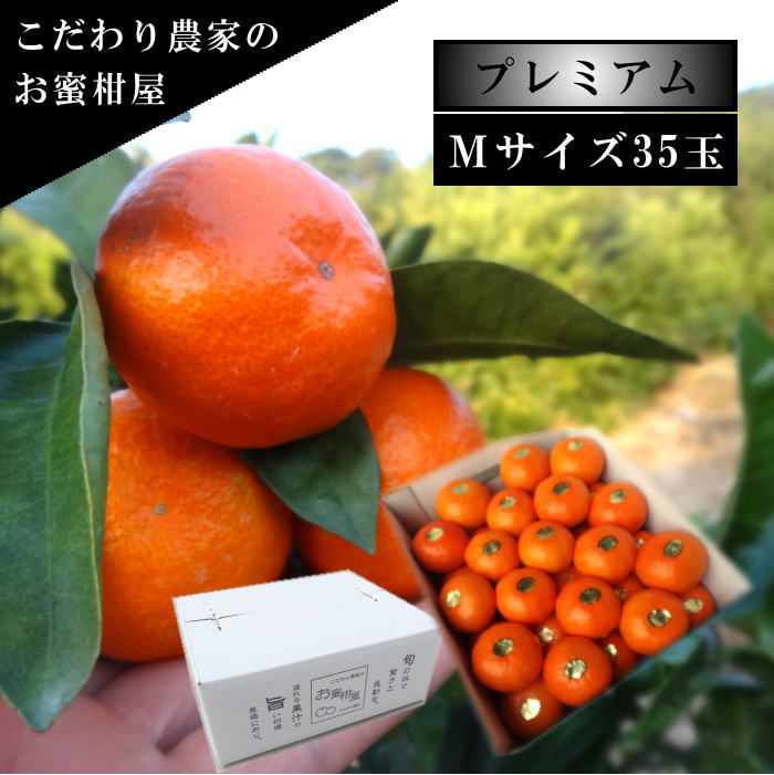 甘し、太陽のお蜜柑「夕焼け姫」 白のギフト箱 Mサイズ 35玉入 厳選プレミアム