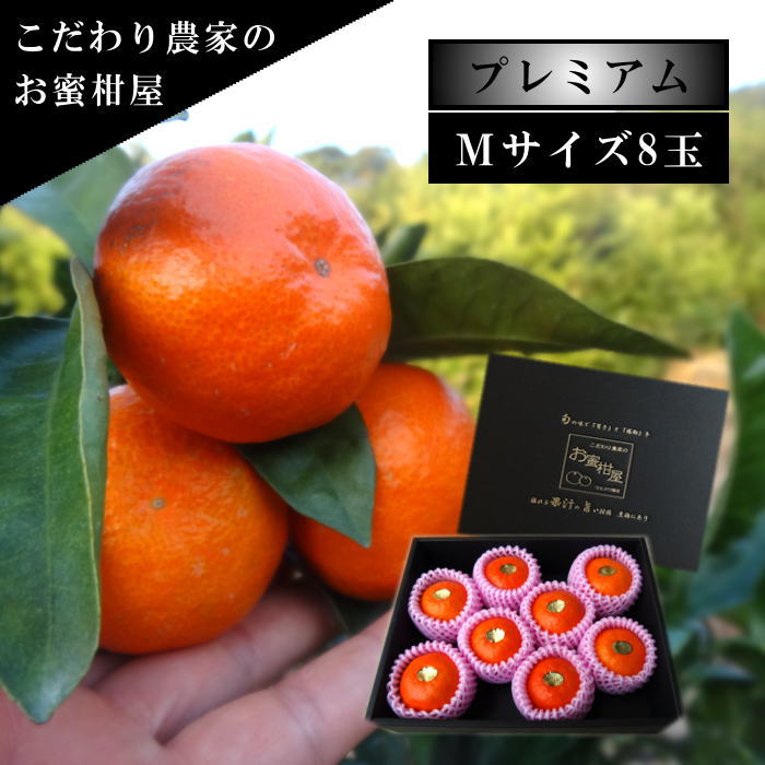 甘し、太陽のお蜜柑「夕焼け姫」　黒の化粧箱（小） Mサイズ　8玉入　厳選プレミアム
