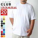 PRO CLUB 大きいサイズ メンズ ビックTシャツ メンズ 綿100% 全20色 L/2L/3L/4L/5L/6L