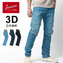 クーポン配布中 エドウイン ジーンズ メンズ ジーニズム エドウィン JEANISM EDWIN 別注 3D 立体裁断 デニムパンツ ジーパン Gパン ストレッチ レギュラー ズボン ウォッシュ加工 テーパード 春夏 30代 40代 50代 春 夏 秋 冬 マルカワ