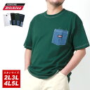 クーポン配布中 Tシャツ メンズ 半袖 大きいサイズ GENUINE Dickies ジェニュインディッキーズ ブランド 綿100 無地 半袖 柄 ティーシャツ ポケットT ポケT デニム 30代 40代 50代 春 夏 秋 白 黒 LL XL 2L 3L 4L 5L わずか マルカワ