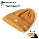 2000円 ポッキリ 送料無料 残りわずか Arnold Palmer アーノルドパーマー ニット帽 メンズ ロゴ刺繍 ニットキャップ ワッチキャップ 帽子 キ...