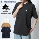 2000円 ポッキリ 送料無料 LOGOS Park ロゴスパーク Tシャツ 半袖 メンズ レディース ユニセックス ワンポイント 刺繍 ブランド 速乾性 ドライ カットソー トップス カジュアル アウトドア おしゃれ オシャレ 人気 大人 30代 40代 50代 春 夏 秋 M L LL XL 2L 最強配送 RSL