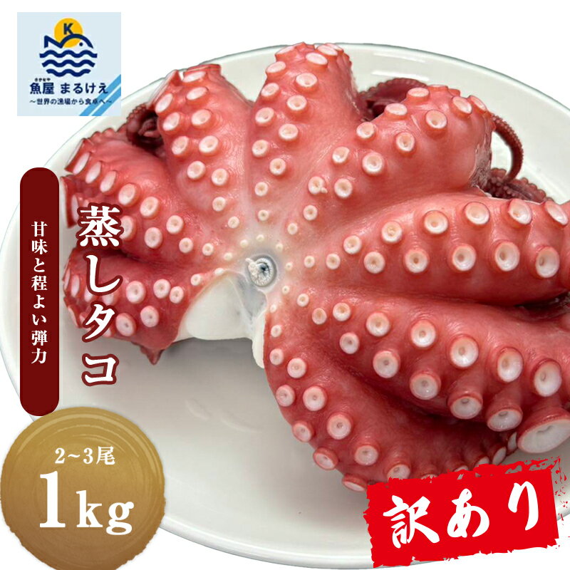 【MAX10%OFF】蒸したこ 蒸しダコ モロッコ産 1kg 2~3尾 訳あり たこ タコ チルド マダコ 真だこ 真蛸 蛸 タコ たこ 蒸したこ ボイル ボイル真だこ ボイル真タコ ボイルタコ お得 アウトレット 海鮮 海産物 お取り寄せグルメ